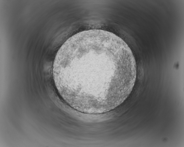 X0000114530034200911301148