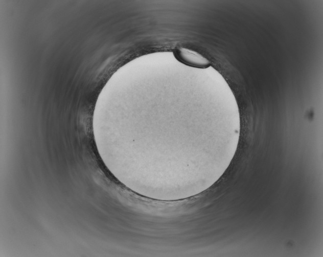 X0000114530035200911301148
