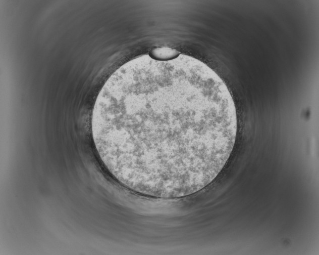 X0000114530036200911301148