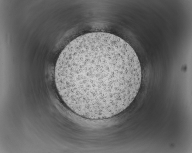 X0000114530038200911301148