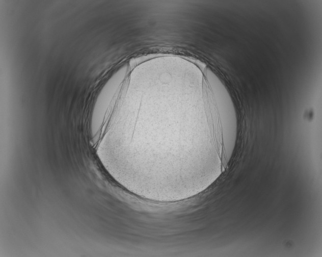 X0000114530039200911301148