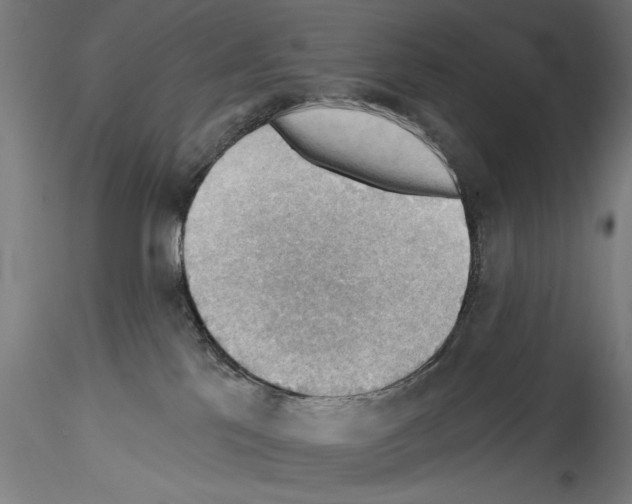 X0000114530041200911301148