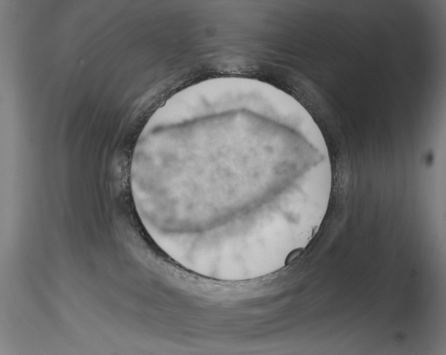 X0000114530043200911301148