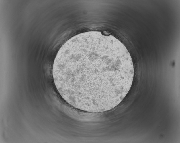 X0000114530044200911301148