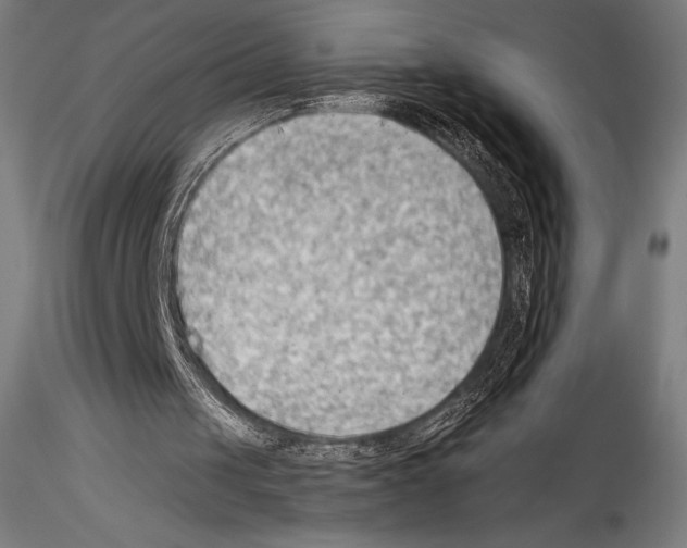 X0000114530049200911301147