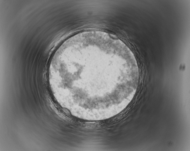 X0000114530050200911301147