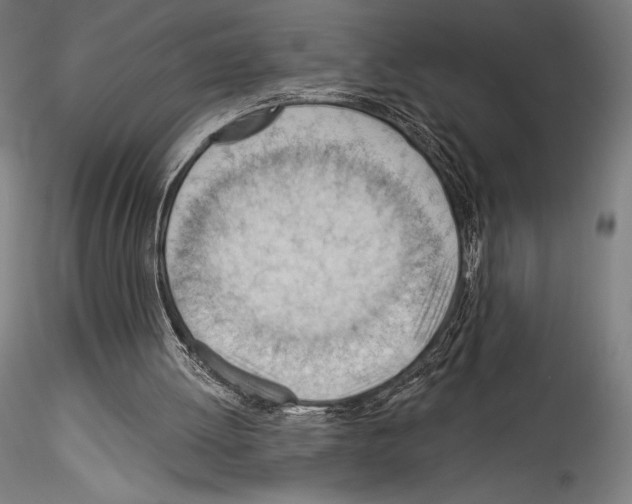 X0000114530052200911301147