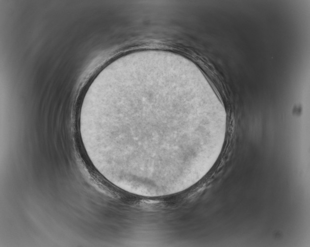 X0000114530055200911301148