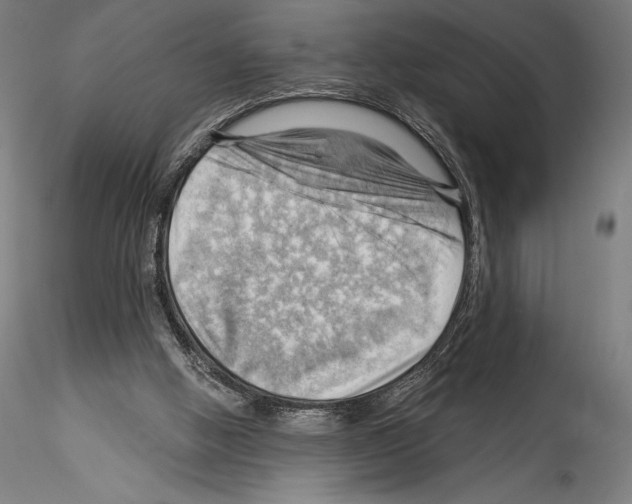 X0000114530058200911301148
