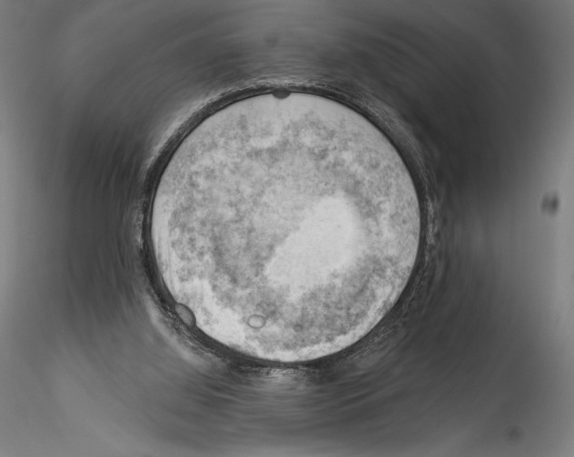 X0000114530060200911301148