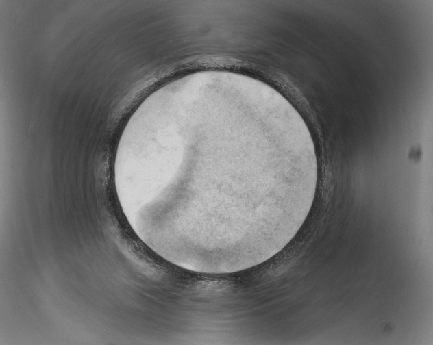X0000114530063200911301148