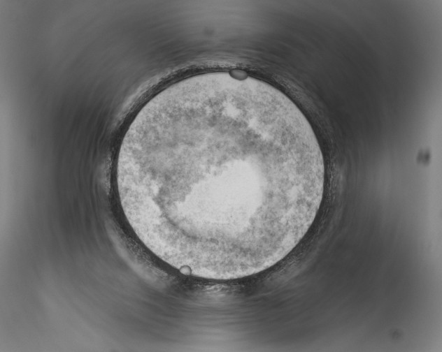 X0000114530064200911301148