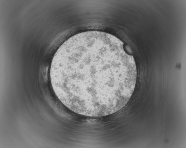 X0000114530070200911301148