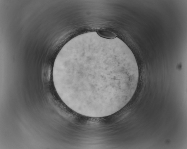 X0000114530076200911301148