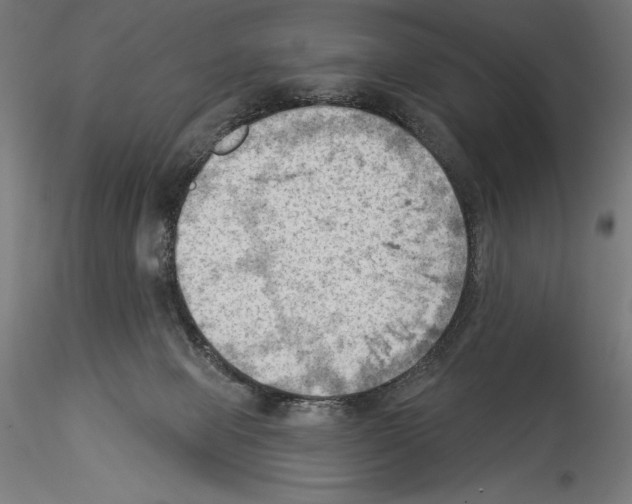 X0000114530077200911301148