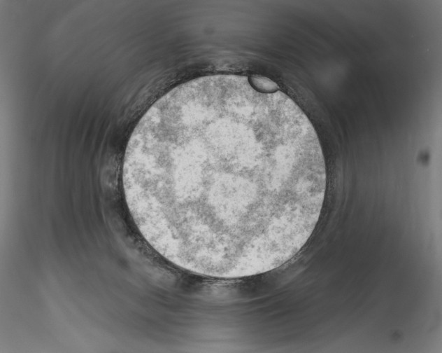 X0000114530078200911301148