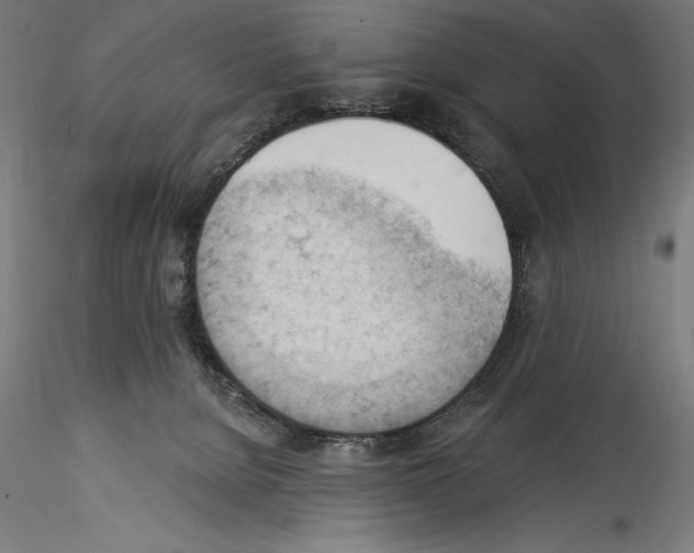 X0000114530080200911301148