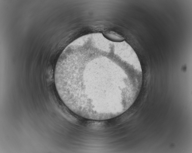 X0000114530081200911301148