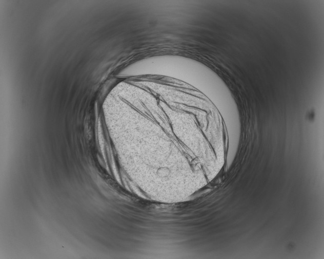 X0000114530088200911301148