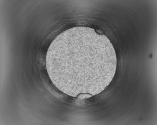 X0000114530091200911301148