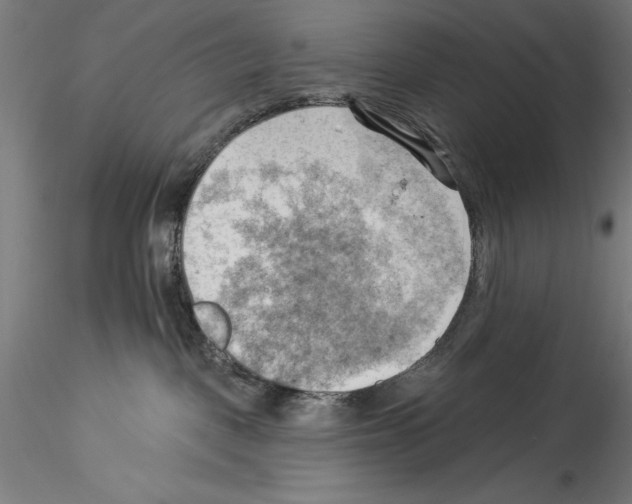 X0000114530093200911301148