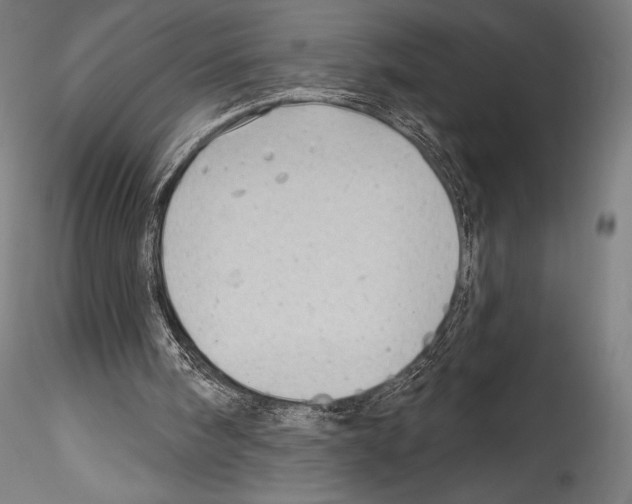 X0000114530098200911301147