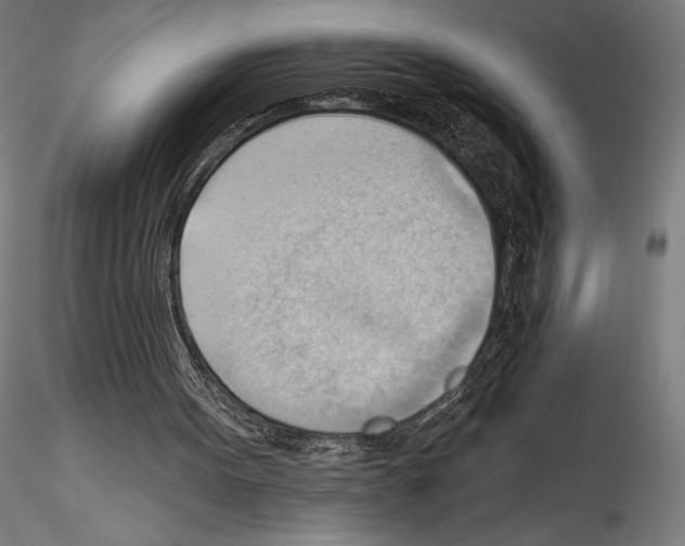 X0000114530099200911301147