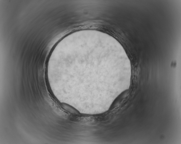 X0000114530100200911301147