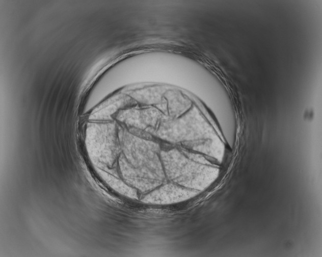 X0000114530101200911301147
