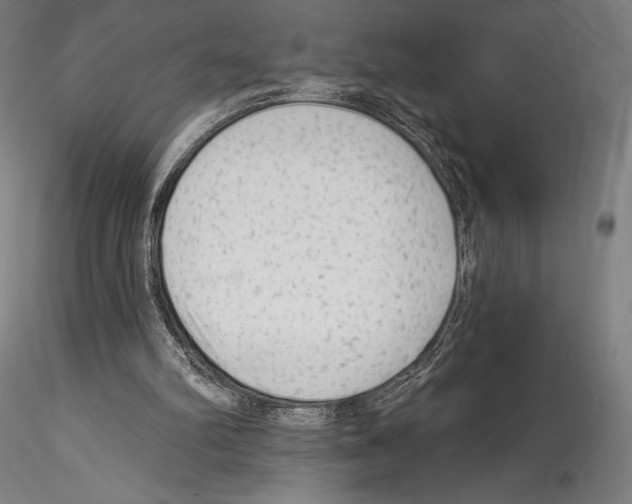 X0000114530102200911301147