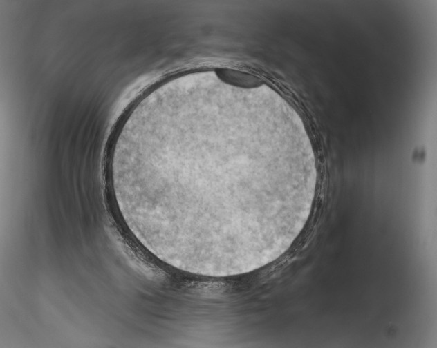 X0000114530104200911301147