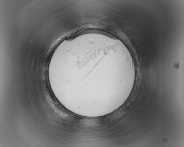 X0000114530106200911301147