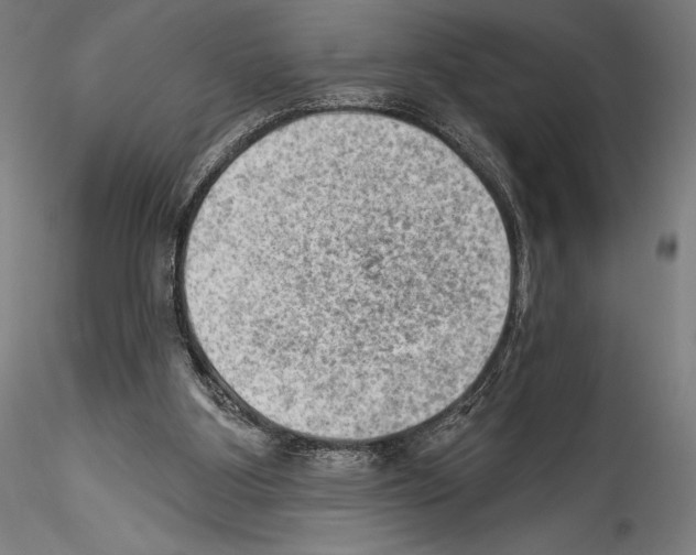 X0000114530107200911301147