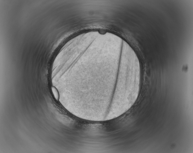 X0000114530108200911301147