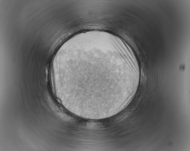 X0000114530109200911301147