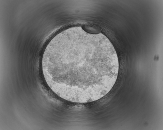 X0000114530112200911301147