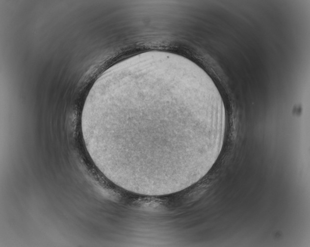 X0000114530113200911301147