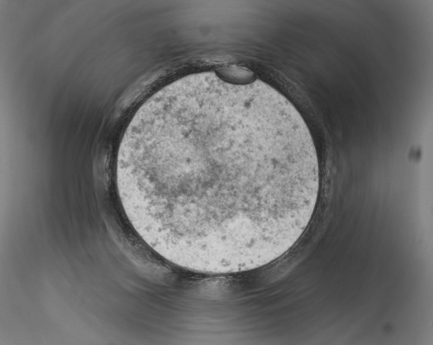 X0000114530116200911301147