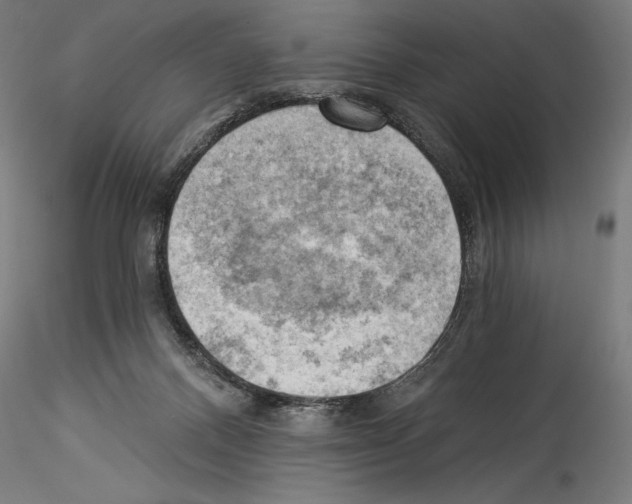 X0000114530120200911301147