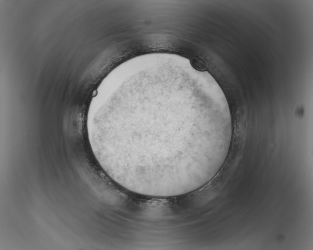 X0000114530124200911301147