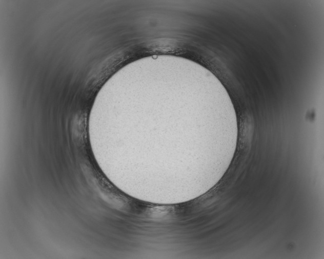 X0000114530126200911301147