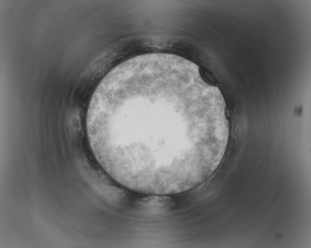 X0000114530128200911301147