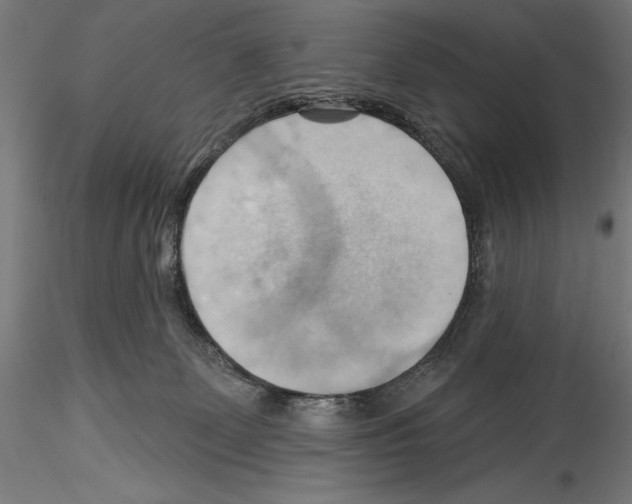 X0000114530131200911301147