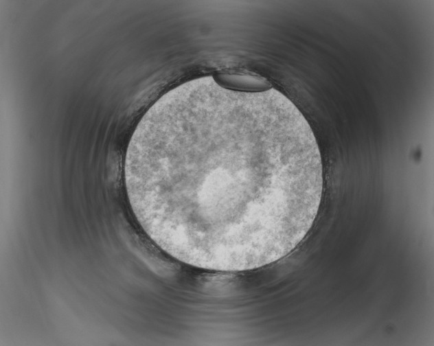 X0000114530132200911301147