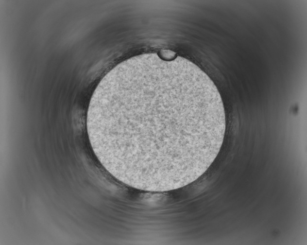 X0000114530135200911301147