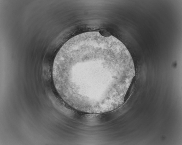 X0000114530136200911301147