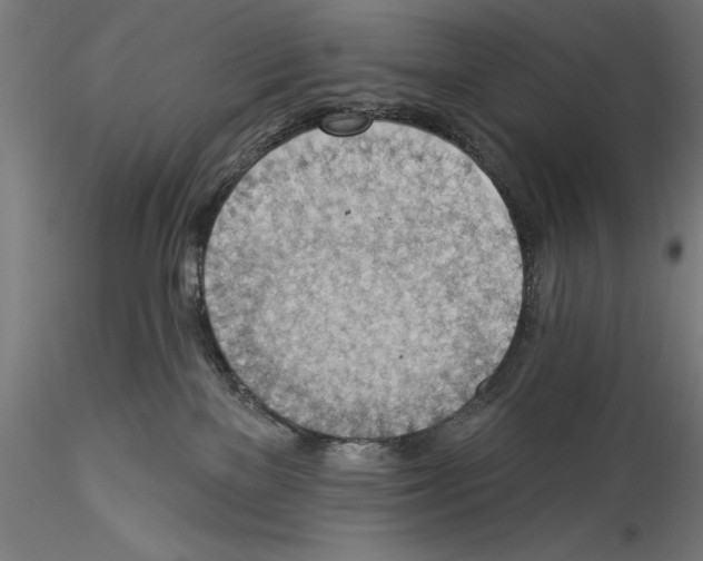 X0000114530137200911301147