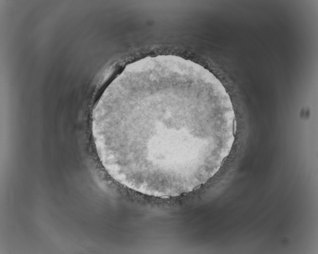 X0000114530144200911301147