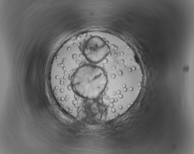 X0000114530145200911301146