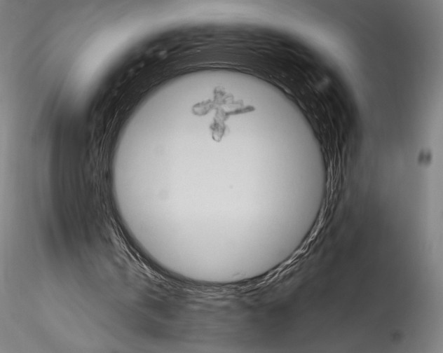 X0000114530146200911301146